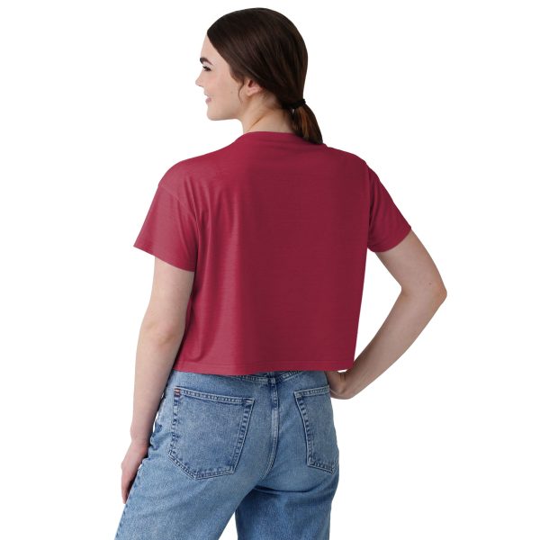 Arizona Cardinals NFL Womens Solid Big Logo Crop Top For Discount - Image 2
